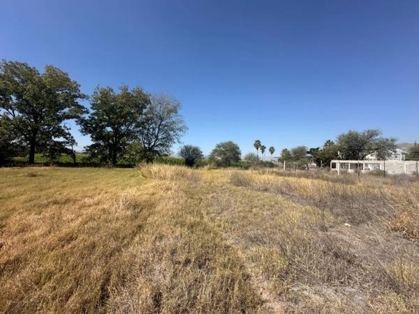 Terreno en venta en ejido Los Ángeles, por carretera principal Lerdo- León Guzmán . Terreno en venta en ejido Los Ángeles, por carretera principal Lerdo- León Guzmán .