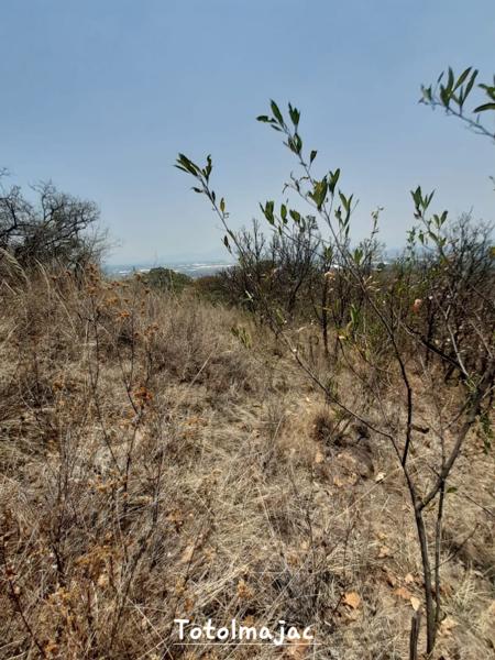 EXCELENTE UBICACIÓN DE TERRENO IDEAL PARA CONSTRUIR O SEMBRAR VILLA GUERRERO EDOMEX