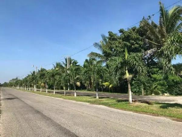 TERRENOS EN VENTA CONKAL PRIVADA VILLAS DE CONKAL TERRENOS EN VENTA CONKAL PRIVADA VILLAS DE CONKAL