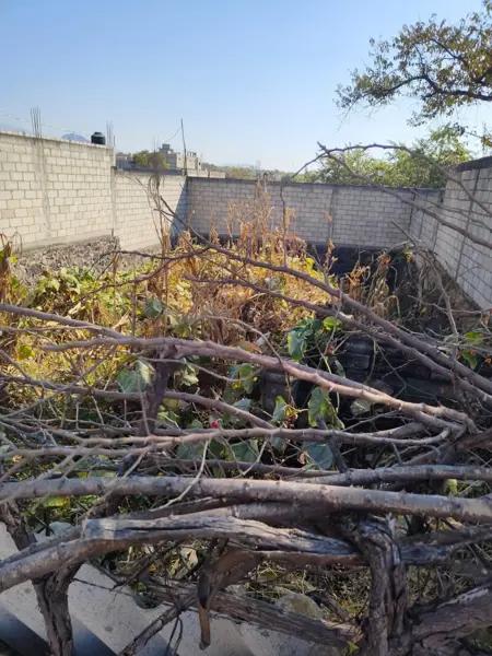 Se vende terreno plano bardeado en Milpillas