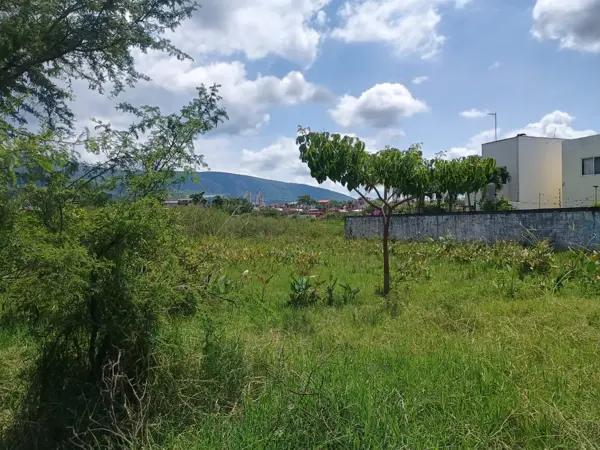 Terreno en venta en Tezoyuca