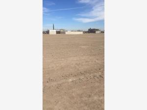 Terreno en venta en Matamoros, Matamoros, Coahuila de Zaragoza Terreno en venta en Matamoros, Matamoros, Coahuila de Zaragoza