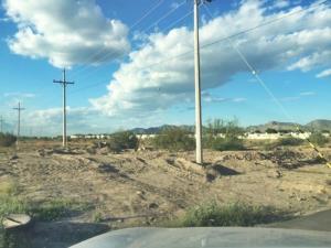 Terreno en venta en Santa Cecilia, Matamoros, Coahuila de Zaragoza Terreno en venta en Santa Cecilia, Matamoros, Coahuila de Zaragoza