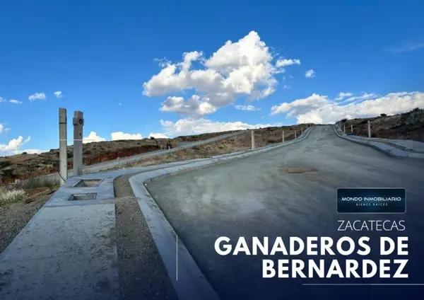 TERRENO VENTA COL. GANADEROS GPE ,ZAC