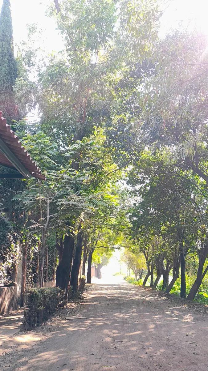 Foto 0 de TERRENON EN BENTA BELEM TULTITLAN | Id nn-qp1000169