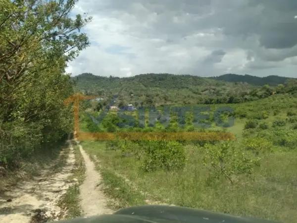 VENTA DE TERRENO 18  HECTAREAS COL. ESCOLIN, PAPANTLA .