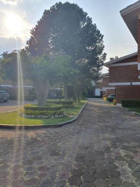 Preciosa casa en venta
Toriello guerra
Tlalpan Preciosa casa en venta
Toriello guerra
Tlalpan