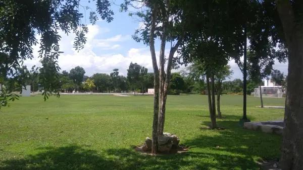 TERRENO EN ESQUINA EN LA REJOYADA PRECIO DE PROMOCION TERRENO EN ESQUINA EN LA REJOYADA PRECIO DE PROMOCION