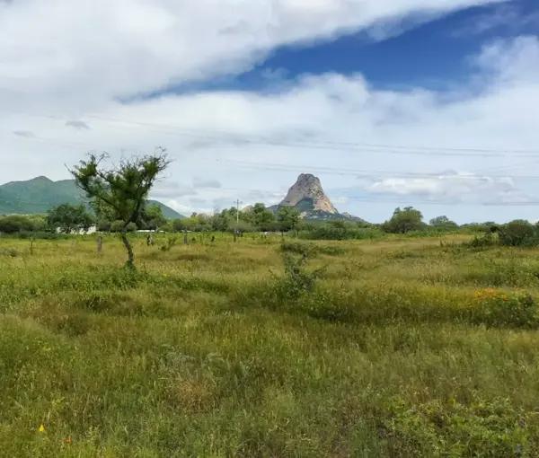 VENTA DE TERRENO EN BERNAL, QRO. VT53