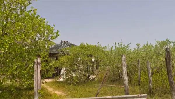 Terrenos en Holbox, la joya del Caribe Mexicano