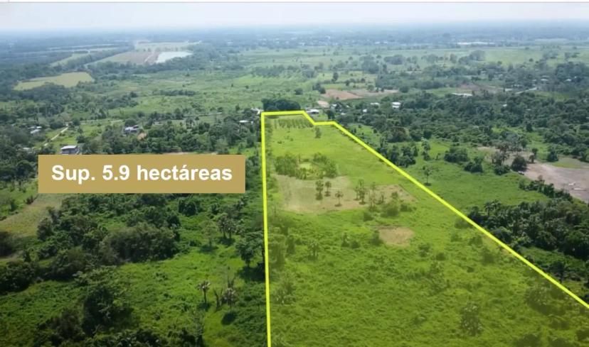 Foto 0 de Terreno en Rio Viejo en Venta, Sup. 5.9 hectáreas | Id nn-kv1000240