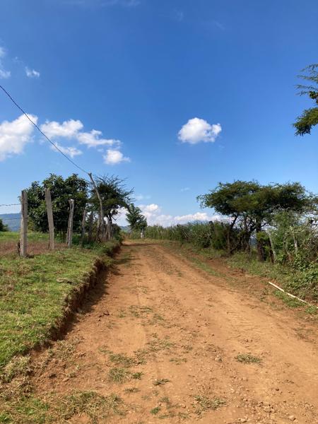 Terreno en venta en Umécuaro Rodeado de huertas de aguacate