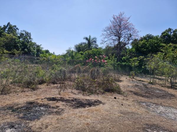 SE RENTA TERRENO PARA PATIO EN EL ENTRONQUE DE LÁZARO CÁRDENAS, MICHOACÁN SE RENTA TERRENO PARA PATIO EN EL ENTRONQUE DE LÁZARO CÁRDENAS, MICHOACÁN