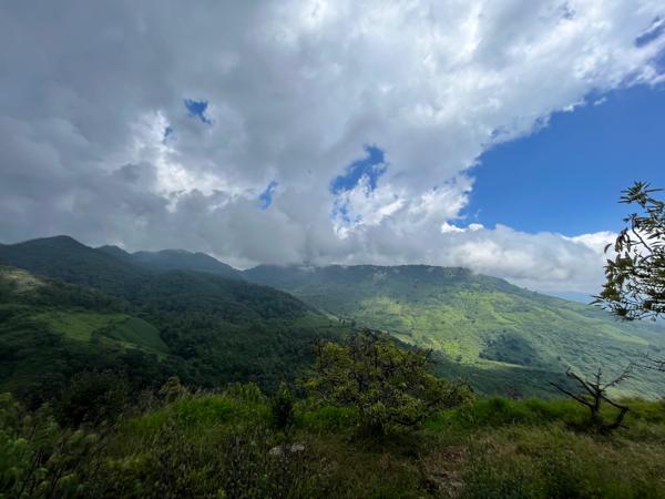 19 HECTÁREAS EN TZITZIO, MICHOACÁN