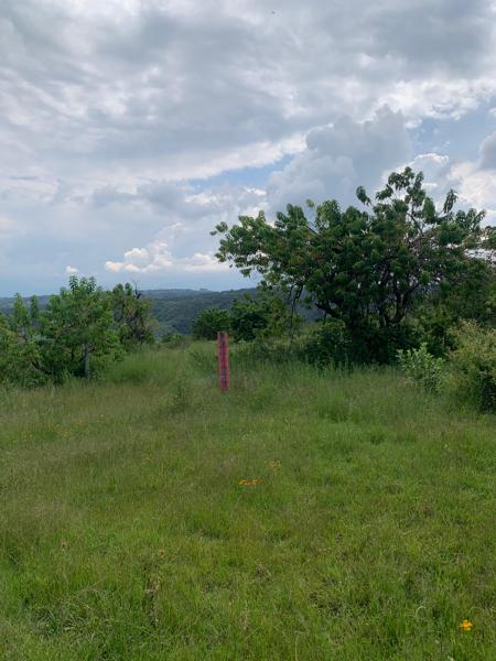 TERRENO JUNTO AL PANTEÓN DE LOS ESPINOS POR ZACAPU MICHOACÁN