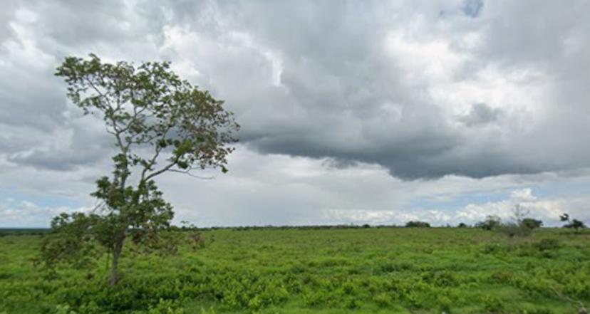 Foto 0 de 4300 Hectáreas con 2900 cabezas de ganado en San Luis Potosí. | Id nn-oy1000362