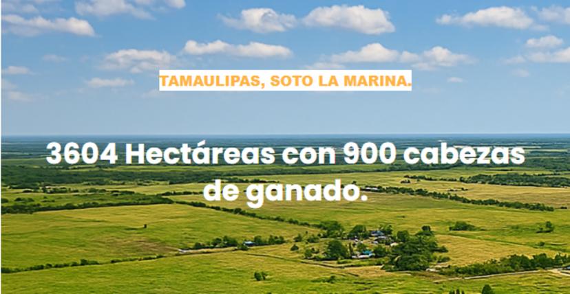 Foto 0 de 3604 Hectáreas con 900 cabezas de ganado e infraestructura, en Soto la Marina, Tamaulipas | Id nn-oy1000252