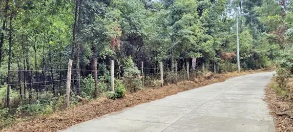 Terreno venta bosque cabañas