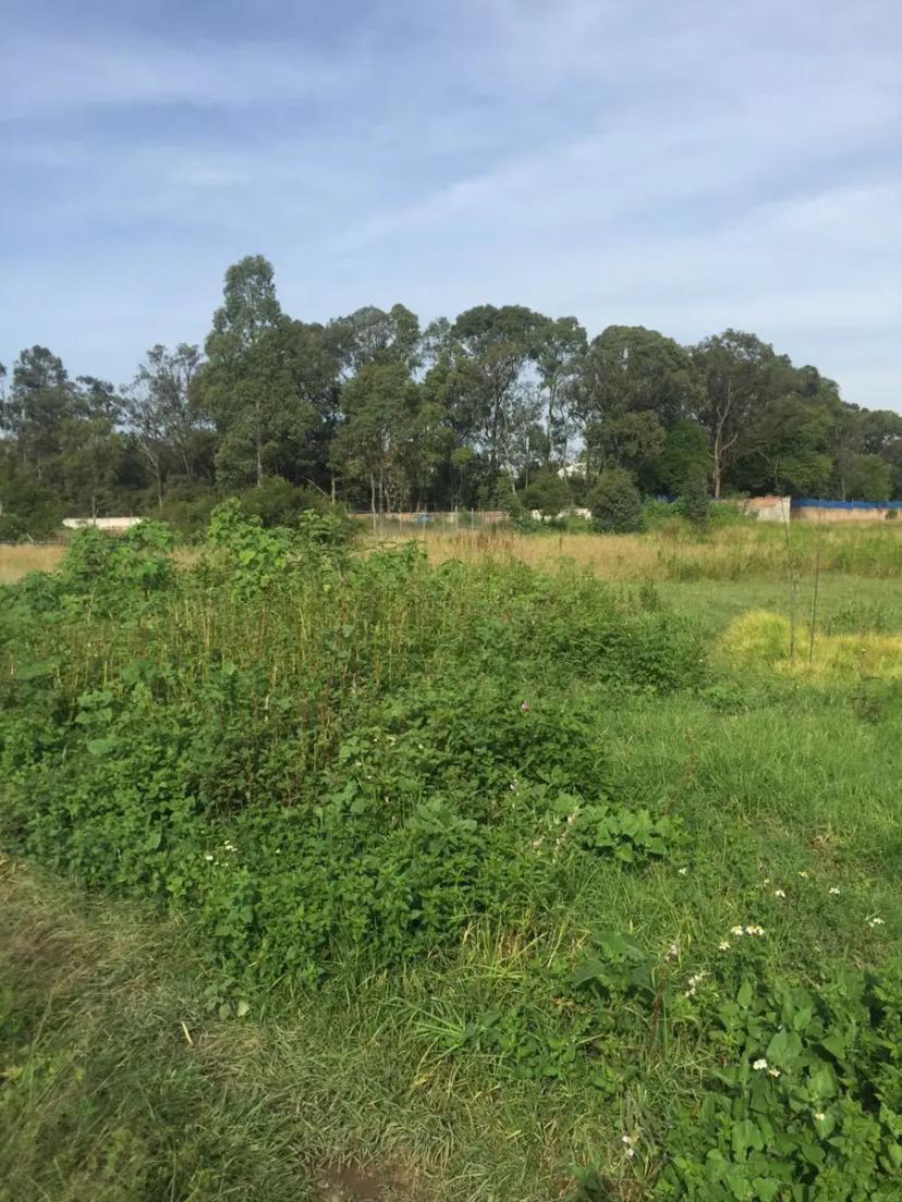 Foto 0 de Magnifico terreno campestre San Andrés Cholula, Puebla $4,875,000 | Id mx25-wp8935