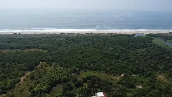 Lote con frente de playa en playa escobilla Oaxaca