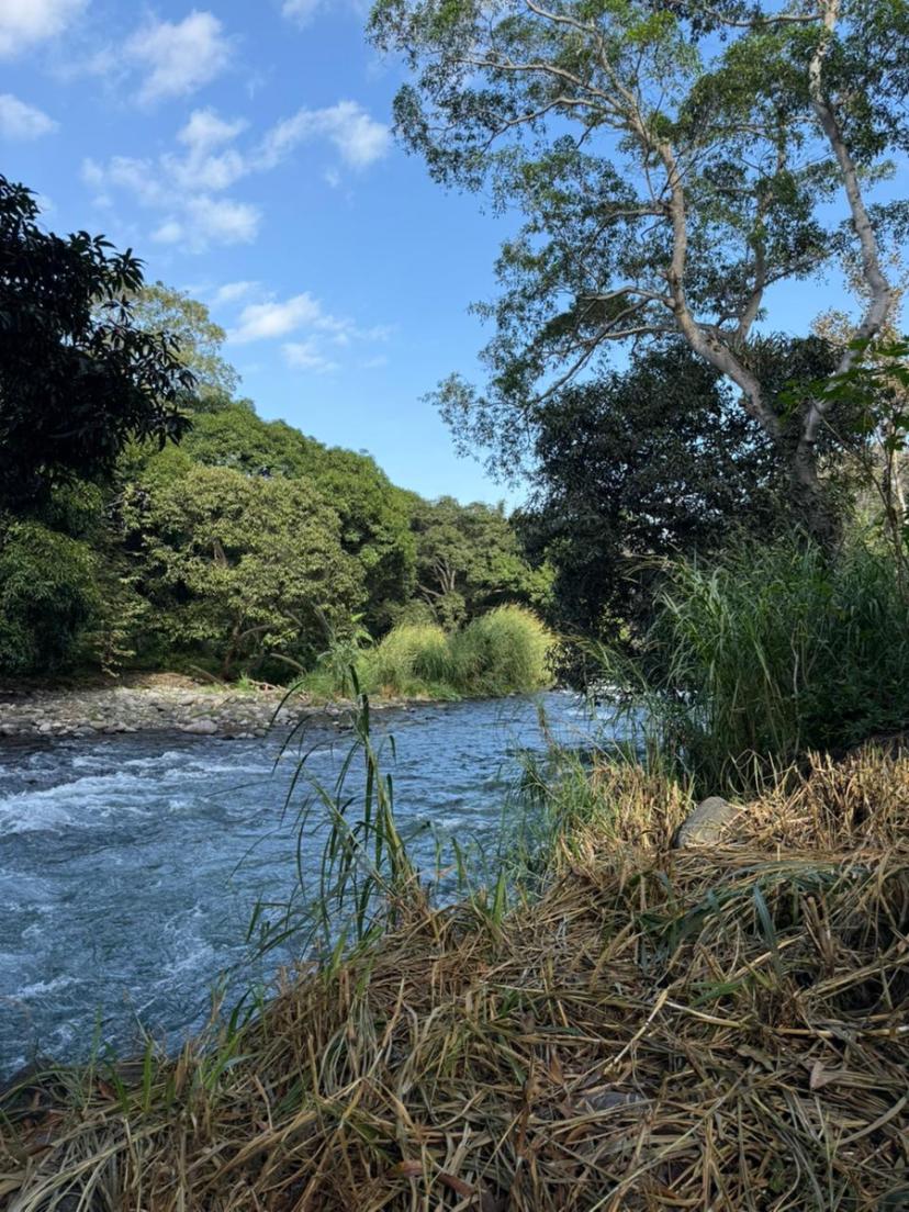 Foto 0 de Terreno en venta en Villa Nueva, Actopan, Veracruz de Ignacio de la Llave | Id nn-aj1001773