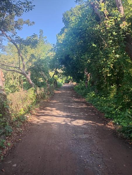 Terreno en venta ubicado en el Tejar Medeliin
