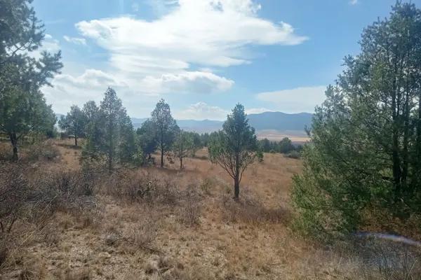 Terreno Campestre en VENTA en Ejido San Juanito