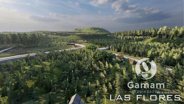 TERRENOS EN VENTA RESIDENCIAL LAS FLORES | Mineral del Monte, Hidalgo.