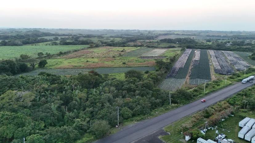 Foto 0 de Terreno en La Laguna Paso del Toro, Veracruz | Id nn-op1000198