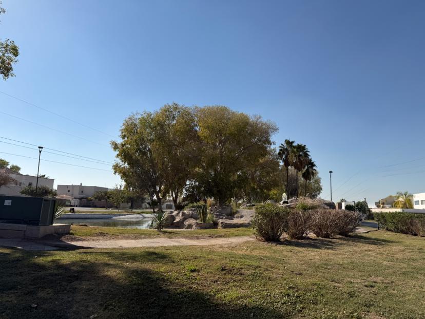 Foto 0 de Terreno en Las Trojes | Id nn-wr1000119