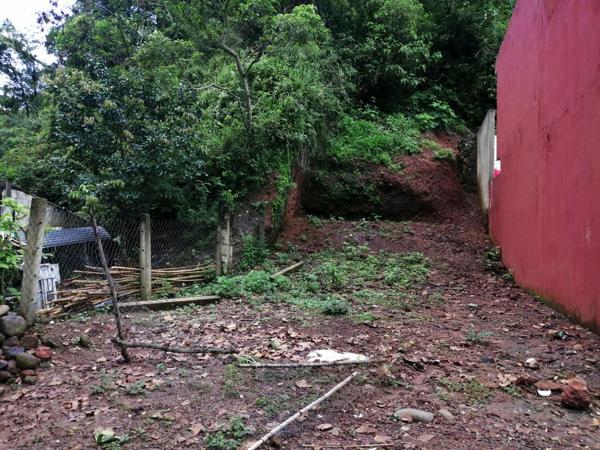 Terreno zona río Pixquiac