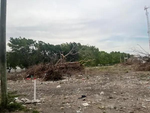 Terreno Comercial en Renta en el Centro de Ciudad Mante, Tamaulipas