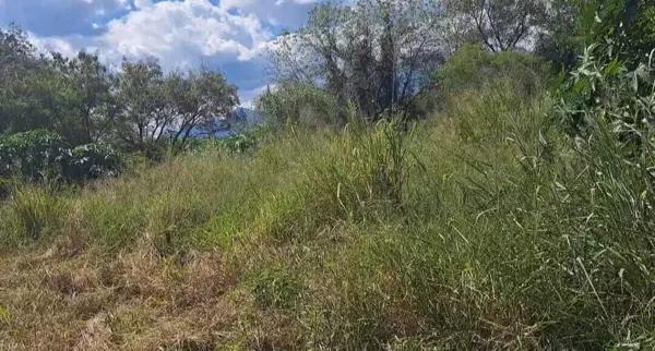 Terreno en venta en Carretera Nacional en Allende Terreno en venta en Carretera Nacional en Allende