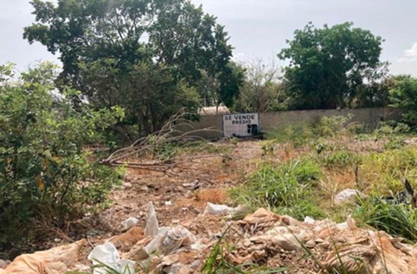 Foto 0 de Venta de terreno en Chuburna de Hidalgo | Id mx25-ph3674