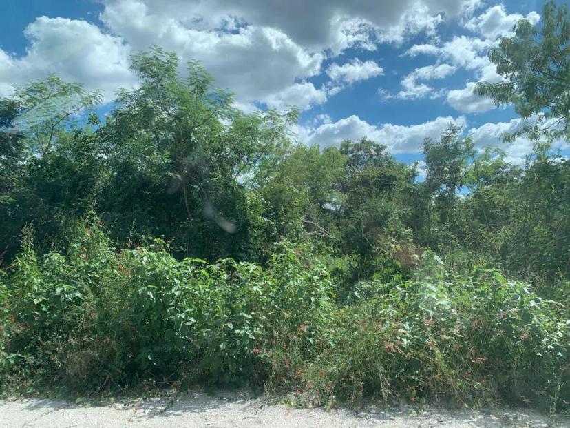 Foto 0 de Terreno en Komchen | Id mx25-wv3780