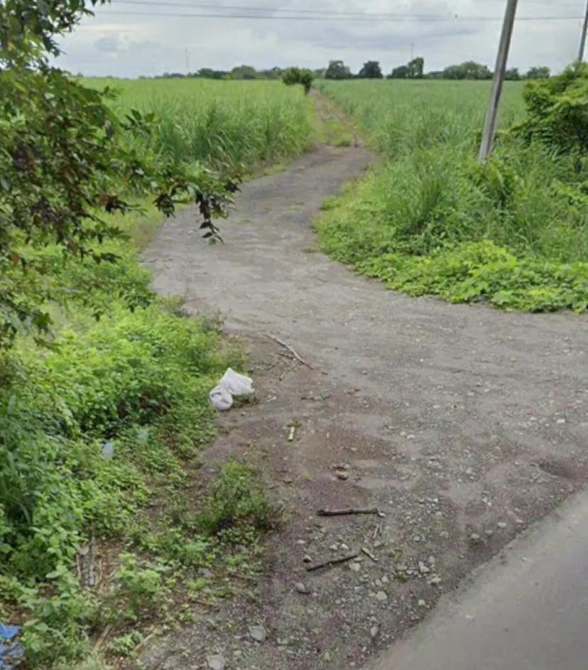 Foto 0 de Terreno EN VENTA  Veracruz orilla de carretera y vías del Ferrocarril 14.8 hectáreas | Id nn-op1000304