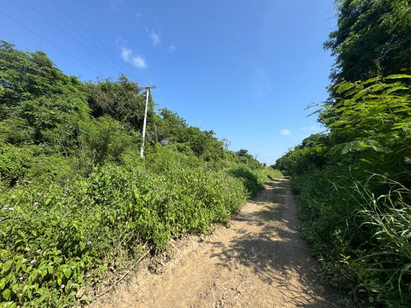 SE VENDEN 2 HECTÁREAS EN LAS COSTAS MICHOACANAS EN OJO DE AGUA