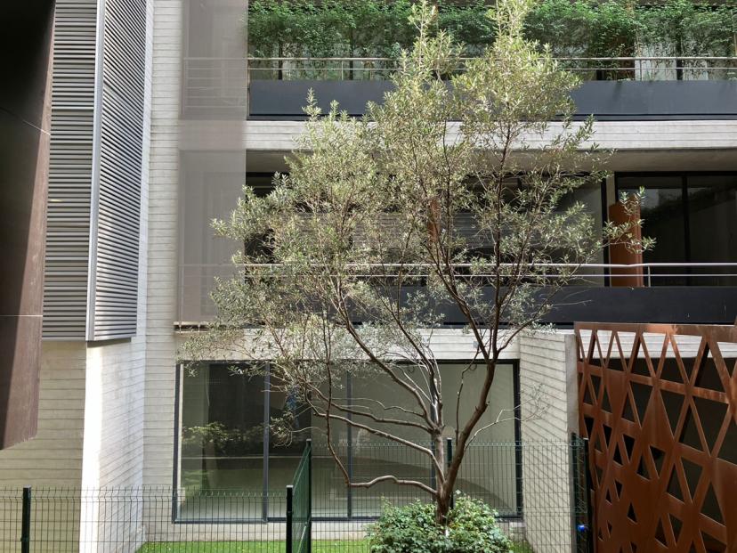 Foto 0 de DEPARTAMENTO EN VENTA POLANCO IV SECCIÓN MIGUEL HIDALGO CDMX | Id nn-hg1000184