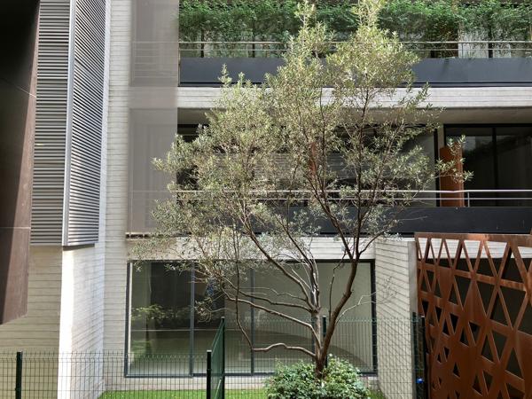 DEPARTAMENTO EN VENTA POLANCO IV SECCIÓN MIGUEL HIDALGO CDMX DEPARTAMENTO EN VENTA POLANCO IV SECCIÓN MIGUEL HIDALGO CDMX