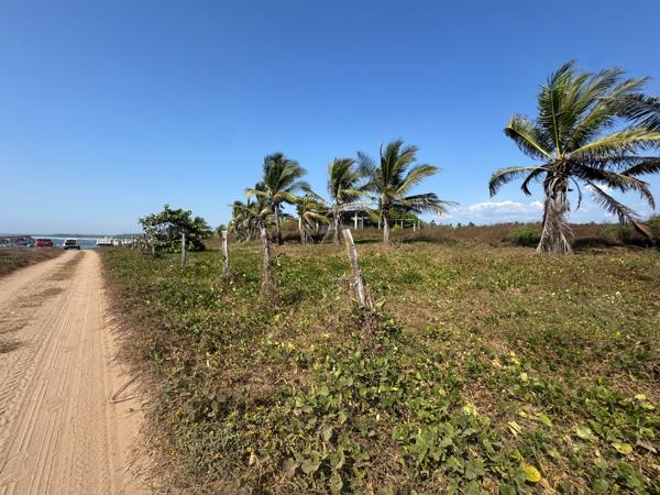 2 HECTÁREAS AL PIE DE PLAYA EN JOLUTA, GUERRERO