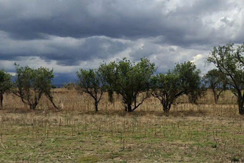 Foto 0 de 9 hectáreas en San María Zacatepec, Juan C Bonilla, Puebla. Cerca de servicios | Id nn-gqc043