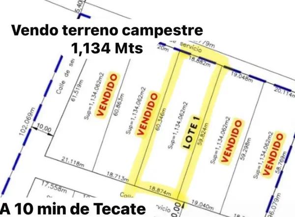REMATO TERRENO DE 1,134 MTS A 5 MIN DEL RANCHO TECATE , TOTALMENTE PLANO