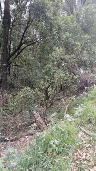 Terreno de 70010 m² en Venta en Santa María Mazatla