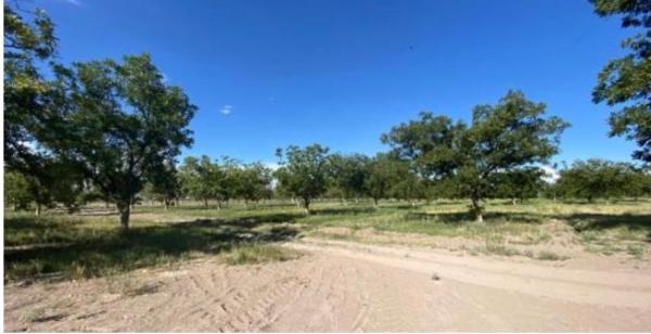 Finca-Rancho en venta en Las Nogaleras, Matamoros, Coahuila de Zaragoza