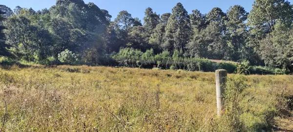 Terreno Residencial en Venta en Valle de Bravo, Acatitlan Avandaro