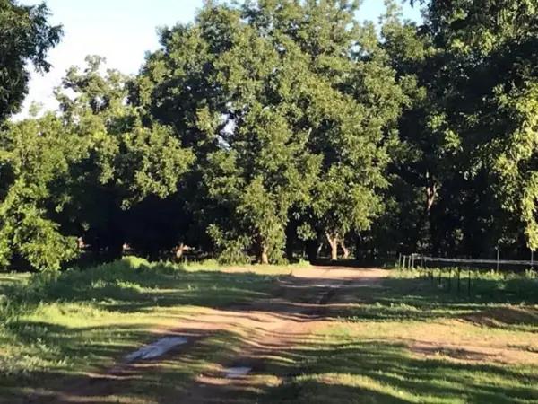 Terreno en venta en Del Marquez, Parras, Coahuila de Zaragoza Terreno en venta en Del Marquez, Parras, Coahuila de Zaragoza