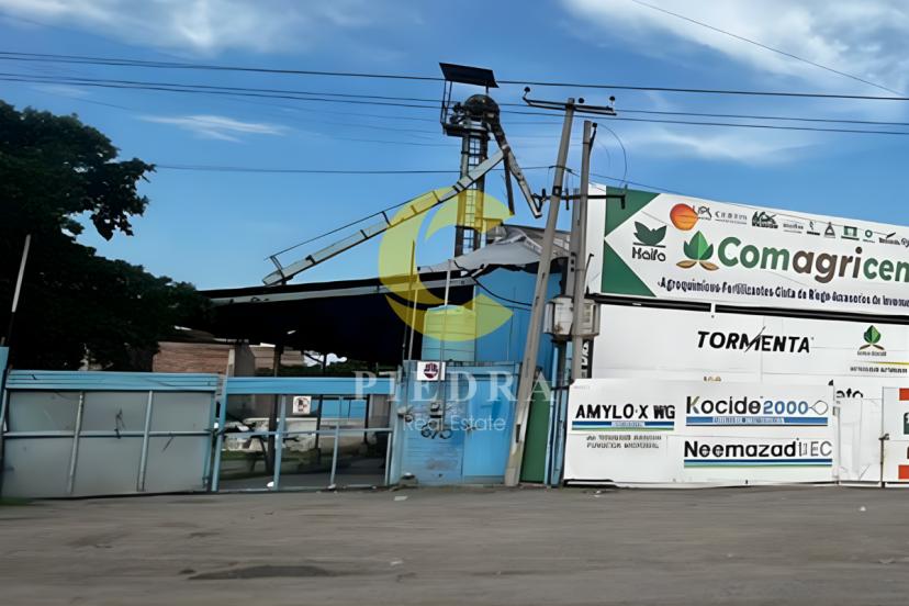 Foto 0 de BODEGA EN VENTA EN AV. DE LOS INSURGENTES | Id nn-gqe124