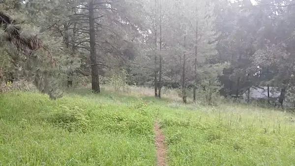 Vendo terreno en el norte de Cuernavaca Morelos