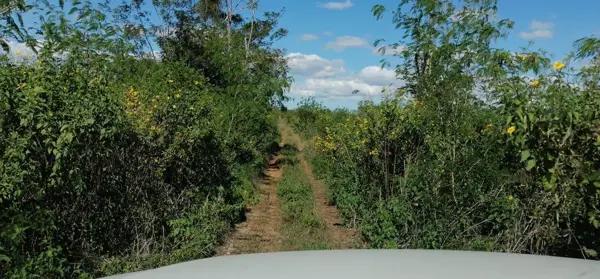 ¡¡VENTA!! Oportunidad de inversión, Terreno en Industrial Park, Mérida Yucatan. ¡¡VENTA!! Oportunidad de inversión, Terreno en Industrial Park, Mérida Yucatan.