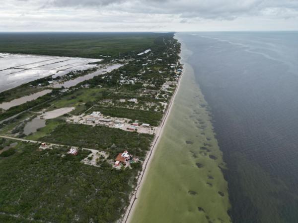Terreno en venta con 28 metros lineales de playa en san crisanto